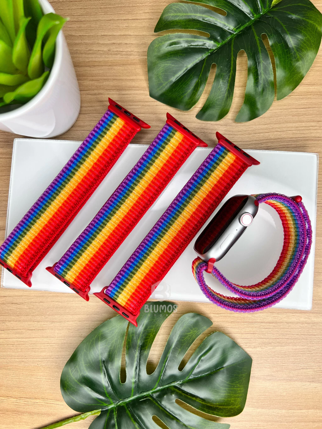 PULSEIRA ARCO ÍRIS